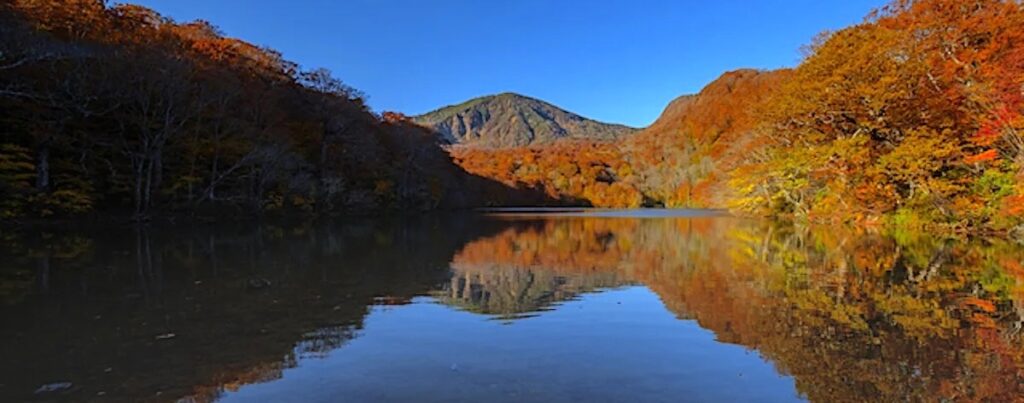 赤沼（蔦七沼）
