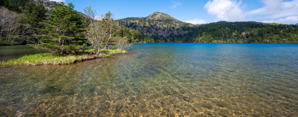 大沼池（志賀高原）