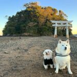 壱岐・小島神社