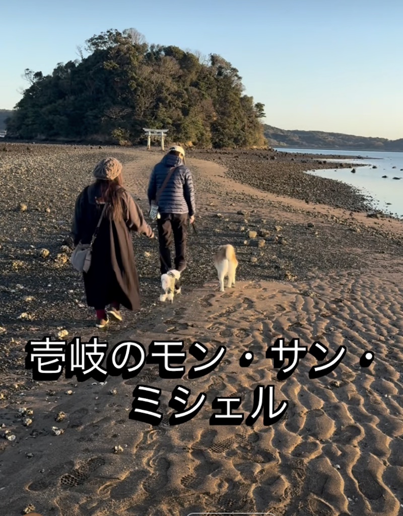 壱岐・小島神社